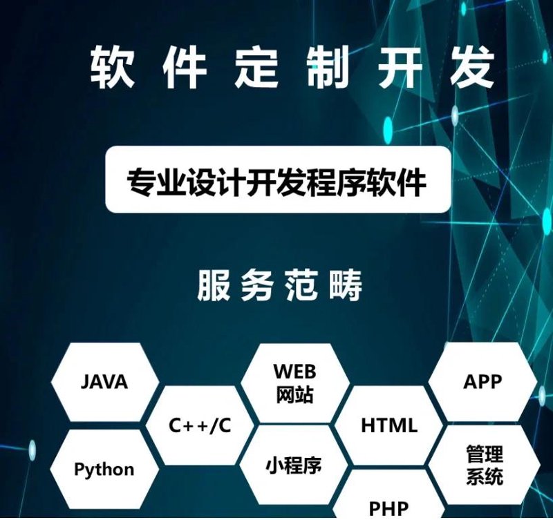 软件定制开发:企业成长的新引擎